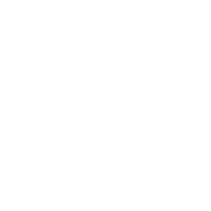 קפה זואי רחובות לוגו לבן